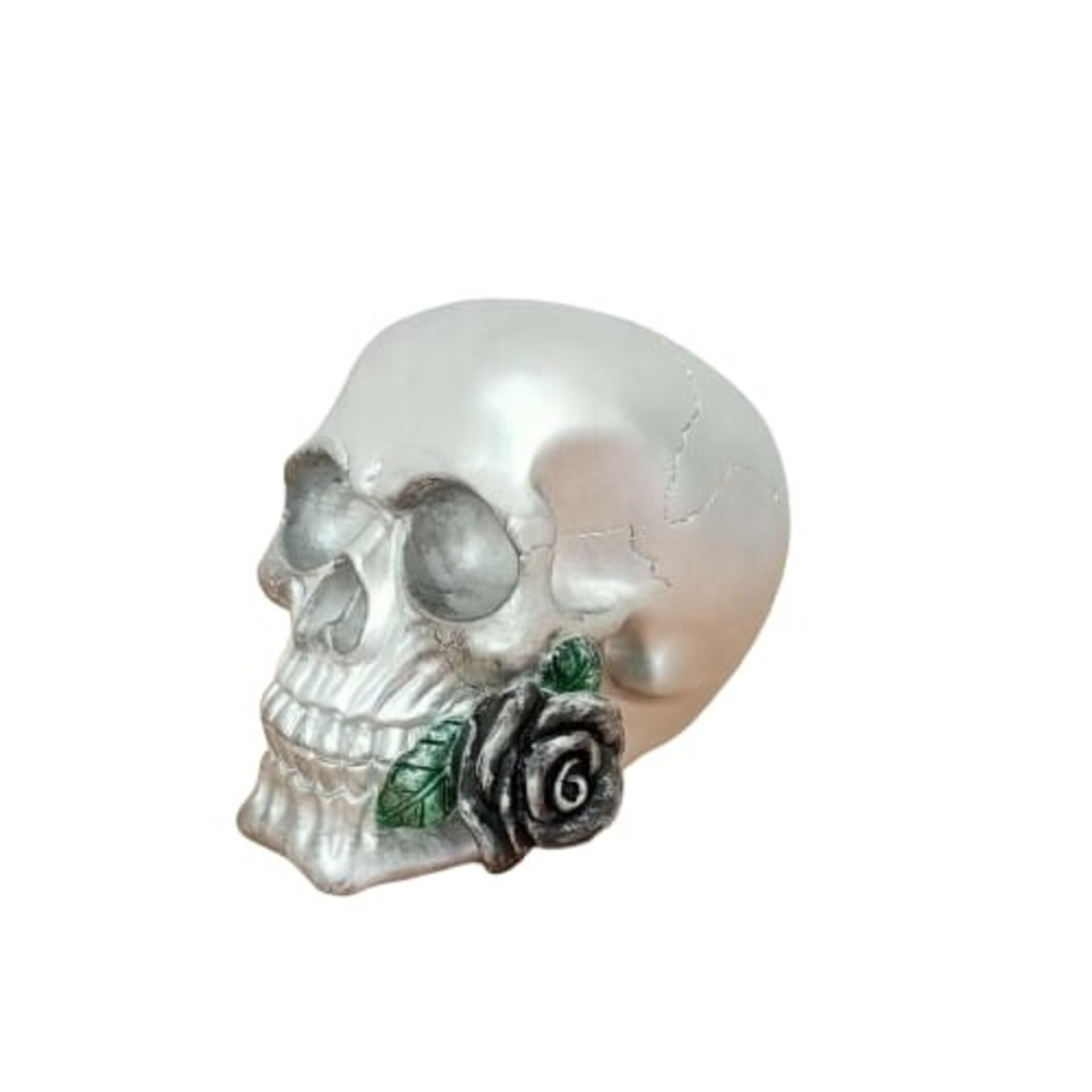 Calavera con rosa - 2